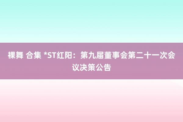 裸舞 合集 *ST红阳：第九届董事会第二十一次会议决策公告