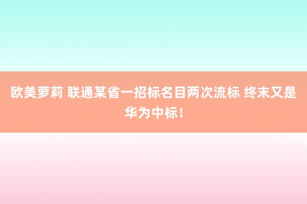 欧美萝莉 联通某省一招标名目两次流标 终末又是华为中标！