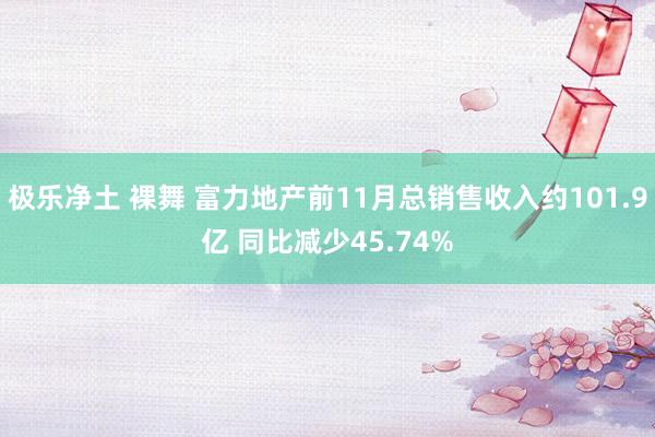 极乐净土 裸舞 富力地产前11月总销售收入约101.9亿 同比减少45.74%