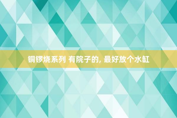 铜锣烧系列 有院子的， 最好放个水缸