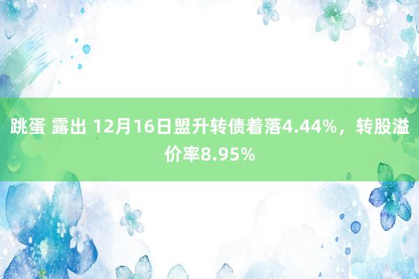 跳蛋 露出 12月16日盟升转债着落4.44%，转股溢价率8.95%