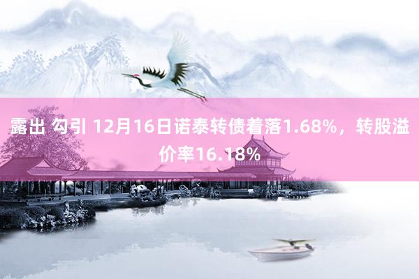 露出 勾引 12月16日诺泰转债着落1.68%，转股溢价率16.18%