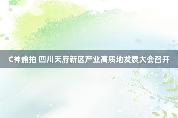 C神偷拍 四川天府新区产业高质地发展大会召开