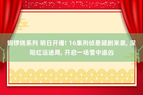 铜锣烧系列 明日开播! 16集刑侦悬疑剧来袭， 深陷红运迷局， 开启一场雪中追凶