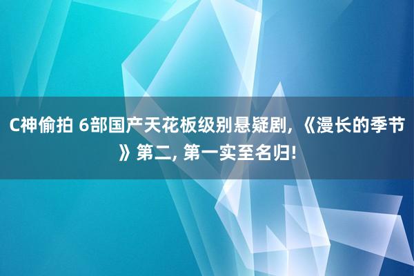 C神偷拍 6部国产天花板级别悬疑剧， 《漫长的季节》第二， 第一实至名归!