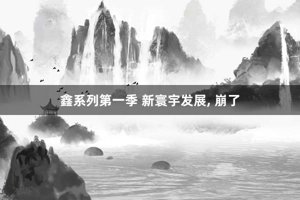 鑫系列第一季 新寰宇发展， 崩了