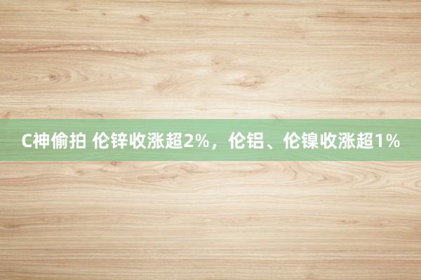 C神偷拍 伦锌收涨超2%，伦铝、伦镍收涨超1%