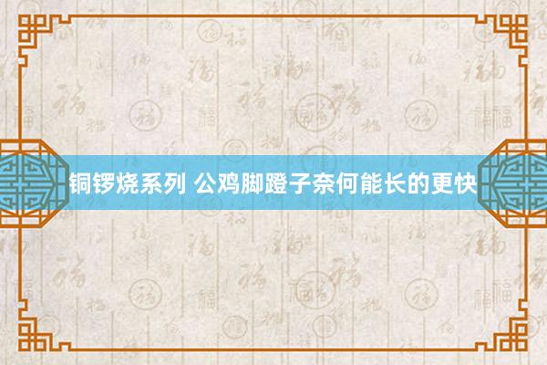 铜锣烧系列 公鸡脚蹬子奈何能长的更快