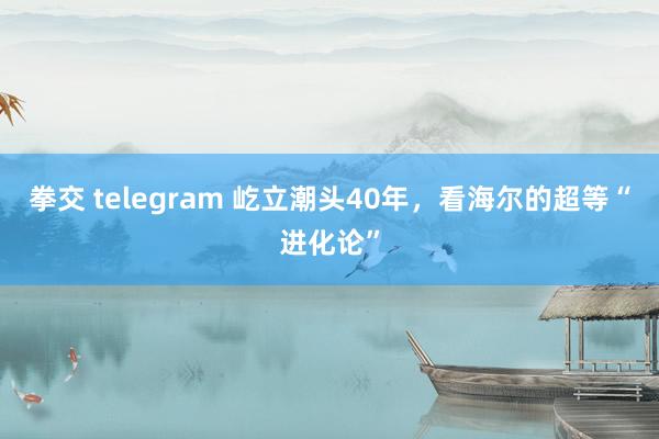 拳交 telegram 屹立潮头40年，看海尔的超等“进化论”