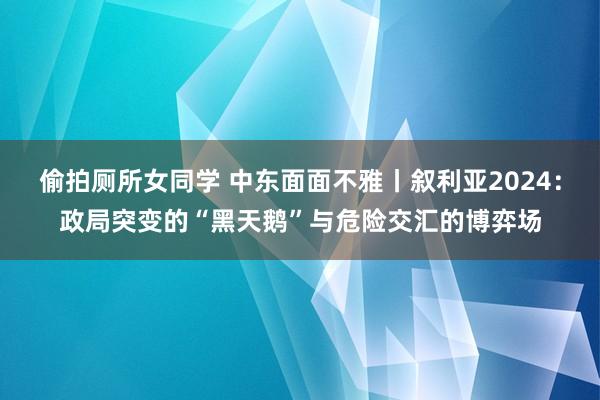 偷拍厕所女同学 中东面面不雅丨叙利亚2024：政局突变的“黑天鹅”与危险交汇的博弈场