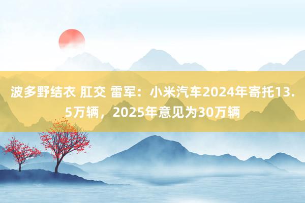 波多野结衣 肛交 雷军：小米汽车2024年寄托13.5万辆，2025年意见为30万辆