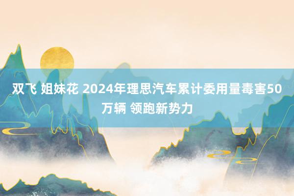 双飞 姐妹花 2024年理思汽车累计委用量毒害50万辆 领跑新势力