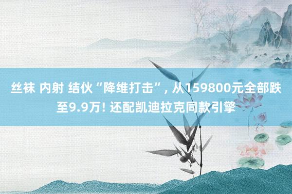 丝袜 内射 结伙“降维打击”， 从159800元全部跌至9.9万! 还配凯迪拉克同款引擎