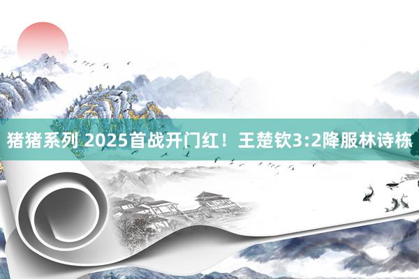 猪猪系列 2025首战开门红！王楚钦3:2降服林诗栋