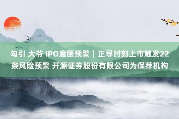 勾引 大爷 IPO鹰眼预警｜正导时刻上市触发22条风险预警 开源证券股份有限公司为保荐机构