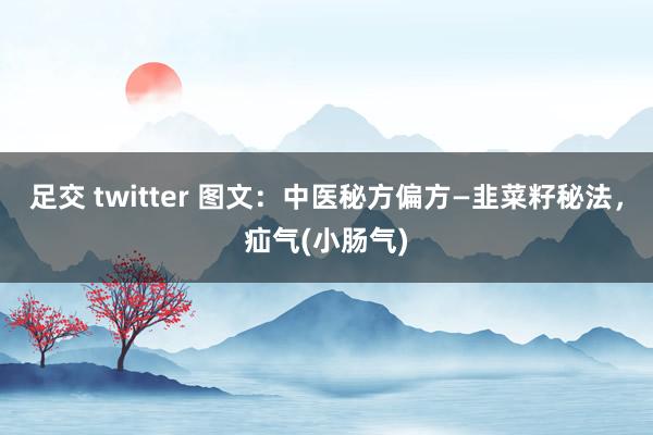 足交 twitter 图文：中医秘方偏方—韭菜籽秘法，疝气(小肠气)