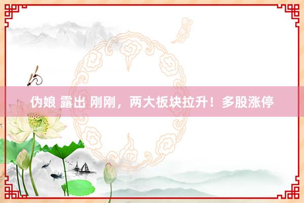 伪娘 露出 刚刚，两大板块拉升！多股涨停