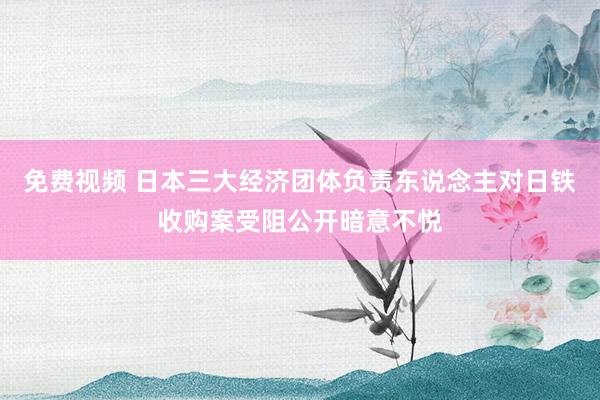 免费视频 日本三大经济团体负责东说念主对日铁收购案受阻公开暗意不悦