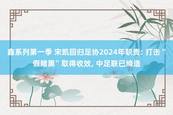 鑫系列第一季 宋凯回归足协2024年职责: 打击“假赌黑”取得收效， 中足联已缔造