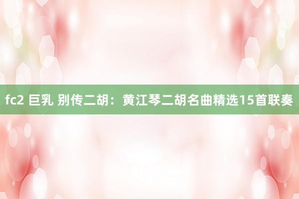 fc2 巨乳 别传二胡：黄江琴二胡名曲精选15首联奏