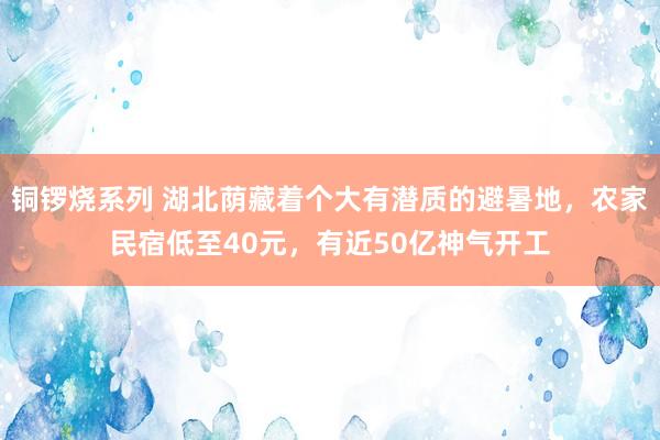 铜锣烧系列 湖北荫藏着个大有潜质的避暑地，农家民宿低至40元，有近50亿神气开工