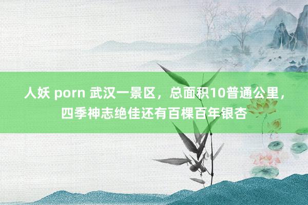 人妖 porn 武汉一景区，总面积10普通公里，四季神志绝佳还有百棵百年银杏