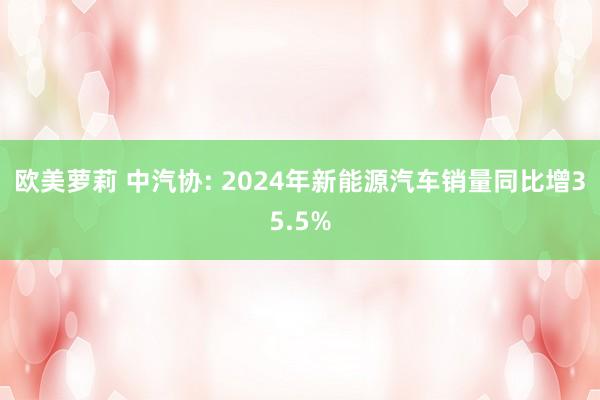 欧美萝莉 中汽协: 2024年新能源汽车销量同比增35.5%