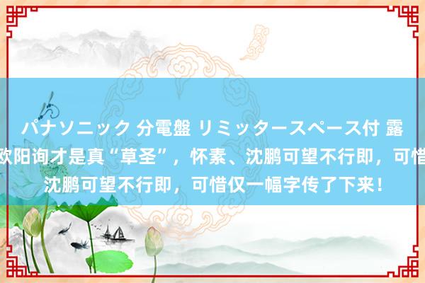 パナソニック 分電盤 リミッタースペース付 露出・半埋込両用形 欧阳询才是真“草圣”，怀素、沈鹏可望不行即，可惜仅一幅字传了下来！