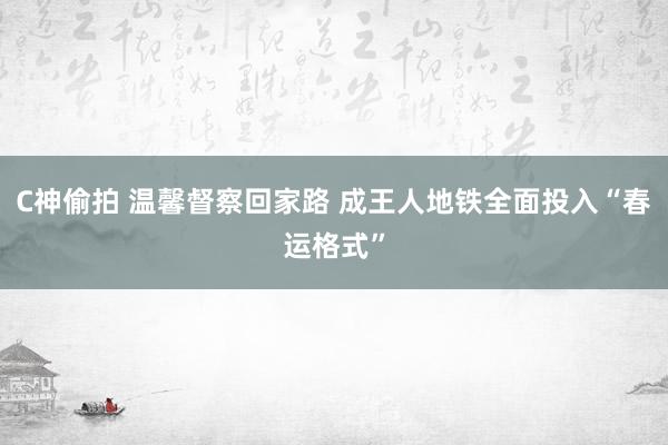 C神偷拍 温馨督察回家路 成王人地铁全面投入“春运格式”