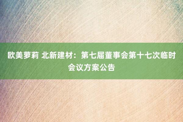 欧美萝莉 北新建材：第七届董事会第十七次临时会议方案公告