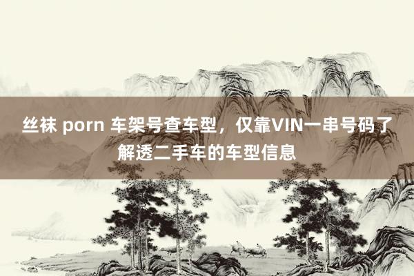 丝袜 porn 车架号查车型，仅靠VIN一串号码了解透二手车的车型信息